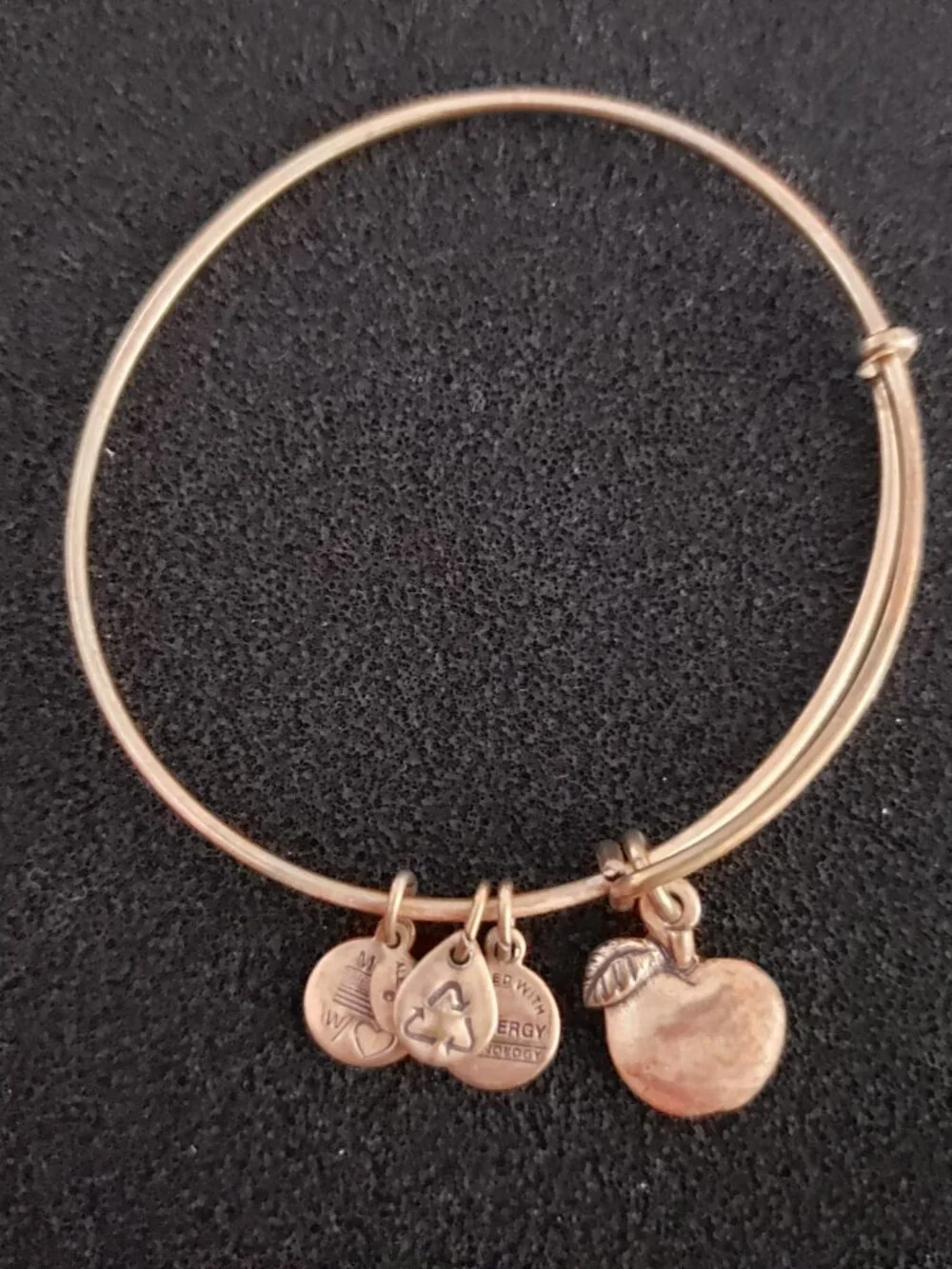 Alex and Ani Gold Apple Charm Bracelet Bangle 39